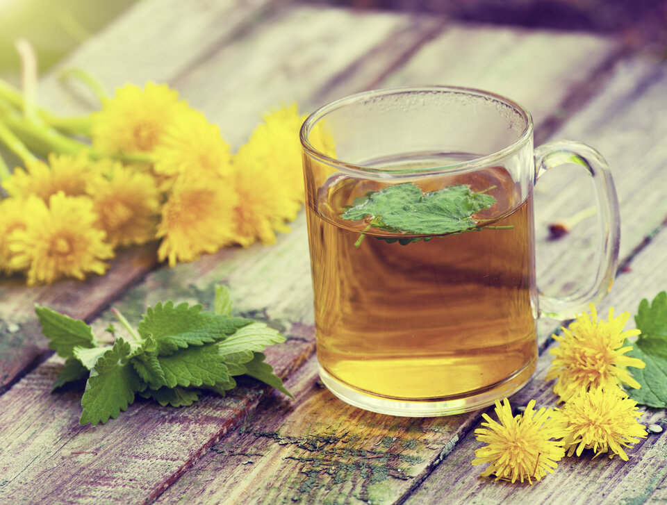 Abb. 2: Einen Maien-Tee aus Spitzwegerich, Sauerampfer, Brunnenkresse und Löwenzahn trank man bei Erkältung, Gicht und Magenkatarrh. 