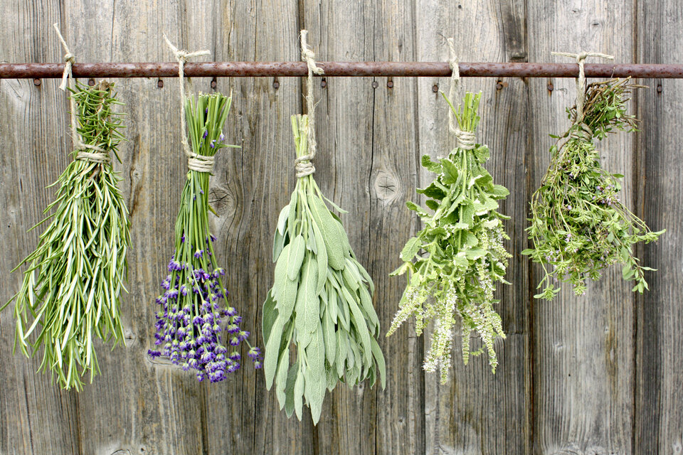 Abb. 1: Kräuter wurden zu Tees und Säften verarbeitet.