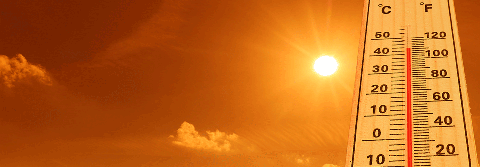 Sommerliche Hitze wird gemeinhin mit erhöhter Mortalität in Verbindung gebracht