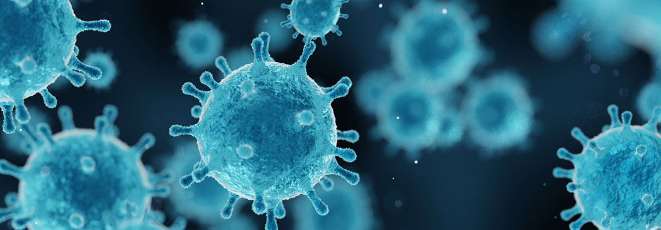 Darstellung von InfluenzavierenBei allen antiviralen Substanzen stellt das Aufkommen von resistenten Erregervarianten ein Problem dar. 